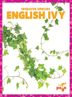 cover image of English Ivy